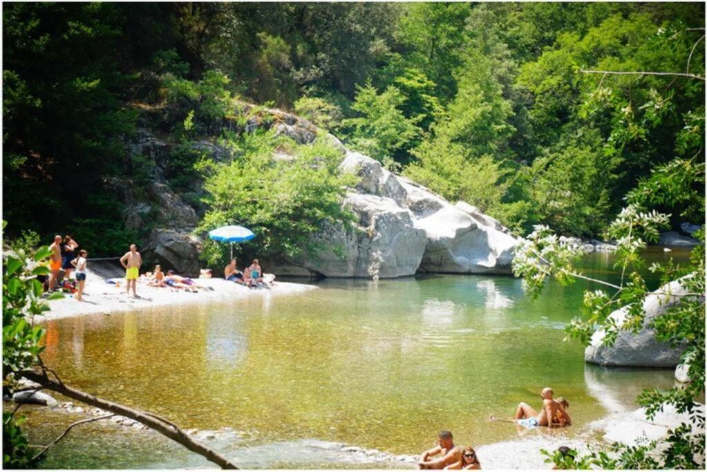 Anduze Les Pins 2/3 Personnes Au Calme.