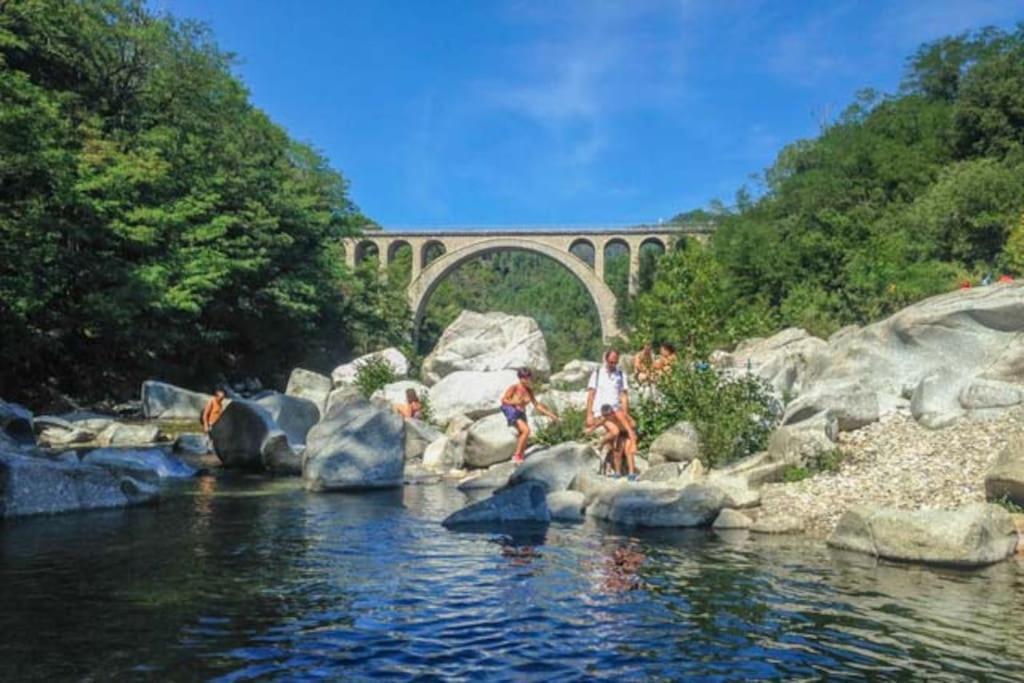 Anduze Les Pins 2/3 Personnes Au Calme. Hébergement de vacances Massillargues-Attuech